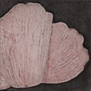 Ulrike Weiss Vegetal