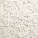 Secrets of Linen Lion
