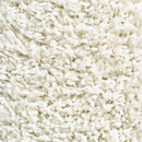 Carpet Concept Concept 504