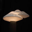 Freedom Of Creation Lightnest