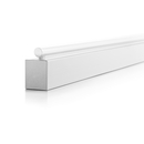 RIBAG SPINAstrip