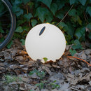 martinelli luce Bowl