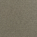 Carpet Concept Concept 507