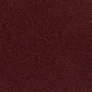Carpet Concept Concept 505