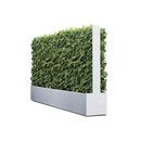 art aqua Grüne Wand®