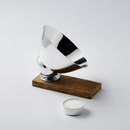 jacob de baan VLAMP RAW