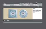Paso II Microsite