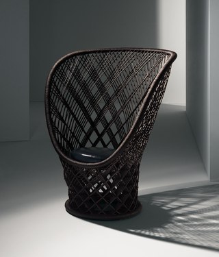 Pavo Driade