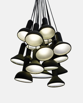 Torch Light Established&Sons