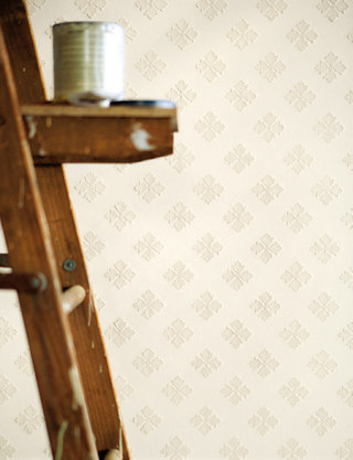 Acanthus [Enduit Collection] Weitzner