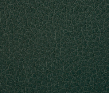Kawa-Deus® 904 microleather BUVETEX INT.