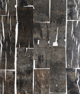 Birch Ecoresin™ Paneel 3form Europe