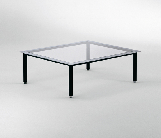 T10 Fasce cromate Azucena