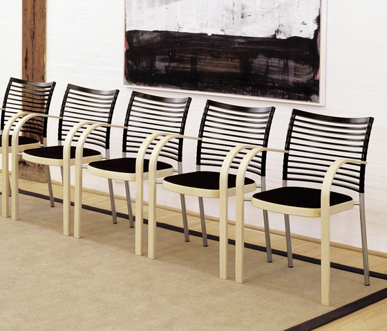 Zebra Magnus Olesen