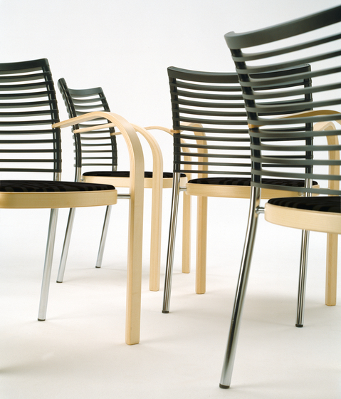 Zebra Magnus Olesen