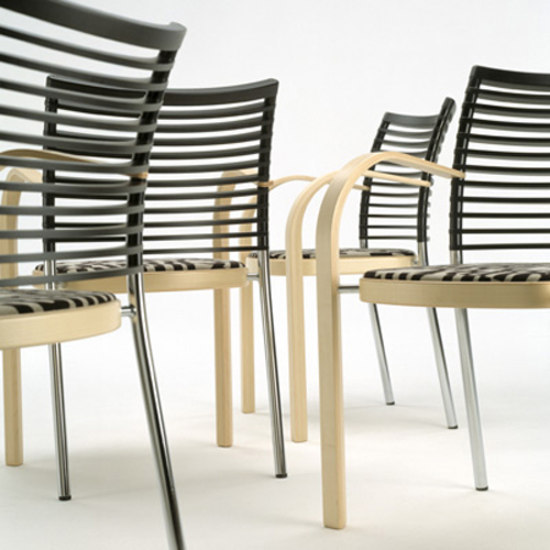Zebra Magnus Olesen