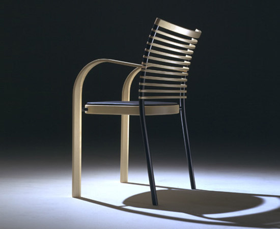 Zebra Magnus Olesen