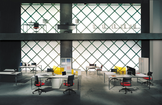 Calvino Koleksiyon
