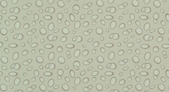 Mabel upholstery fabric Architex International