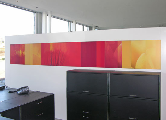 Anathome modular surface system Anathome