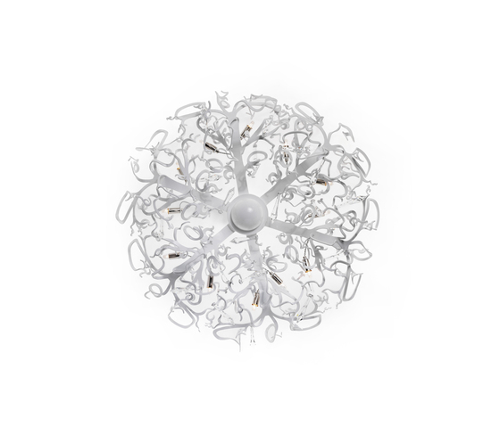 Icy Lady series Brand van Egmond