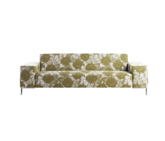 Finch Metal Palau