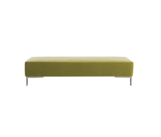 Finch Metal Palau