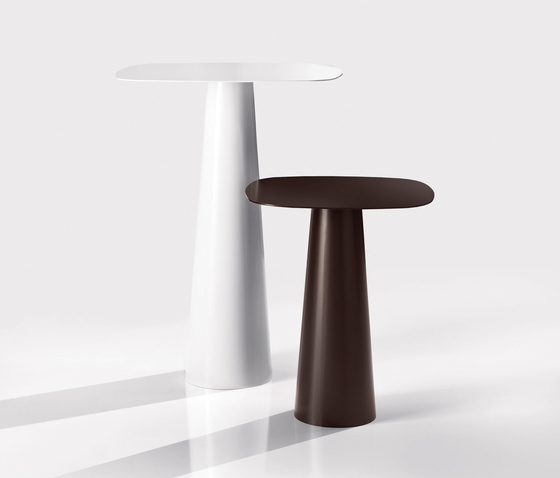Totem Sovet