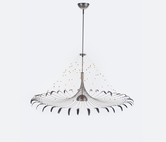 Bird Suspension Quasar