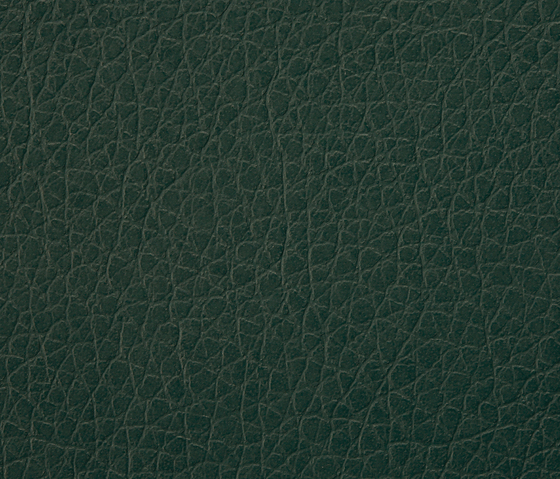 Kawa-Deus® 904 microleather BUVETEX INT.