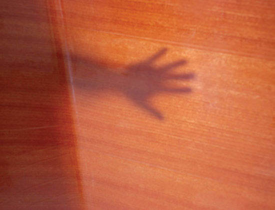 Rosewood Ecoresin™ panel 3form Europe