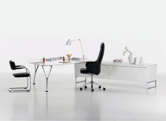 ACE Vitra Inc. USA