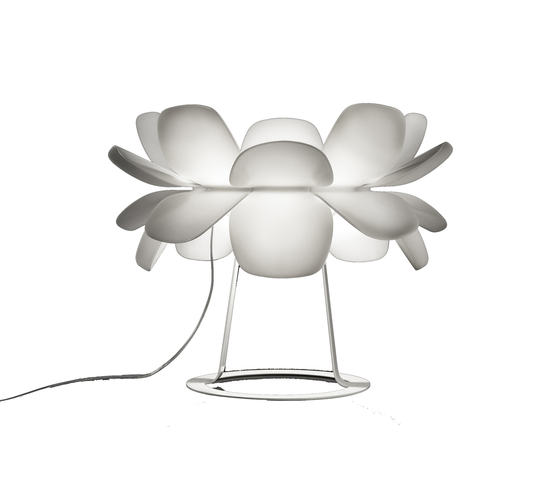 infiore Estiluz