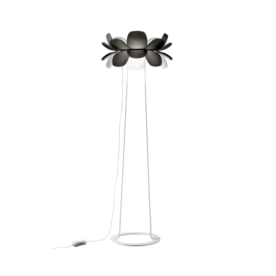 infiore Estiluz
