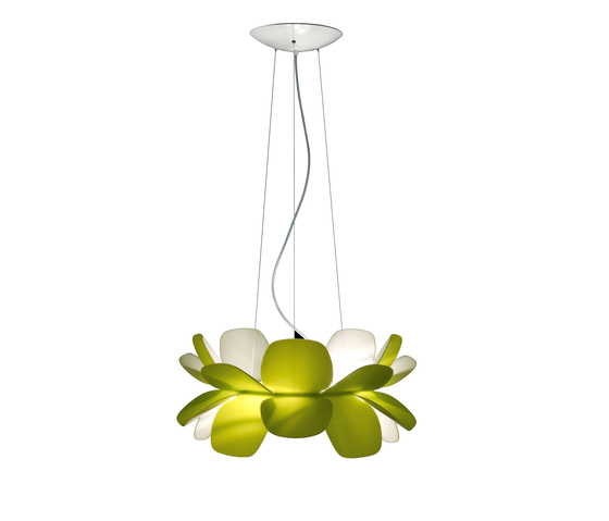 infiore Estiluz