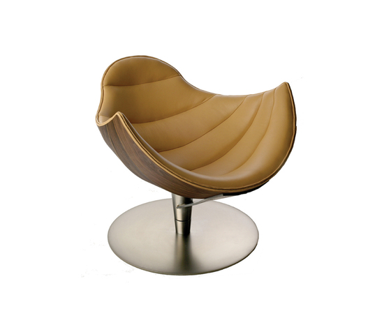 Shelley Strictly Design