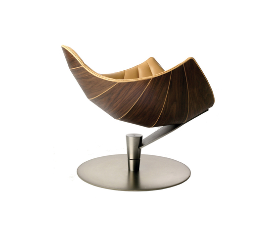 Shelley Strictly Design