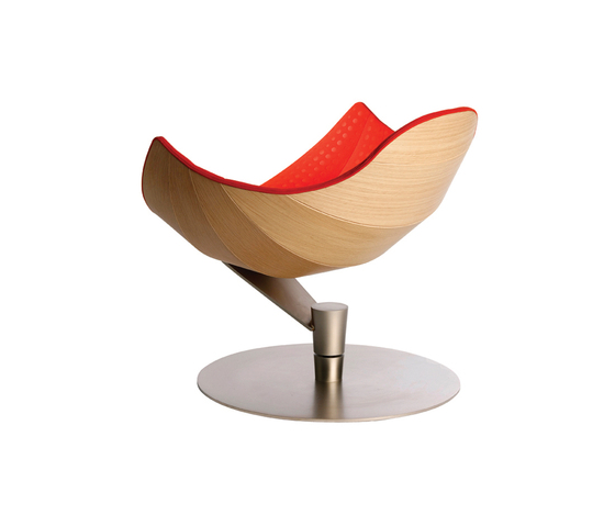 Shelley Strictly Design