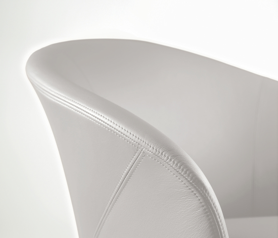 Calla | 2082 Draenert