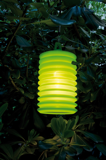 Lampion Rotaliana