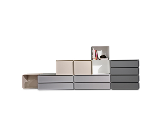 Collar Quodes