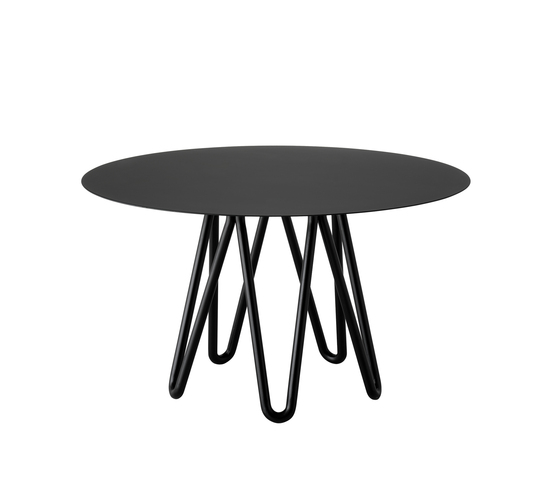 Meduse Casamania
