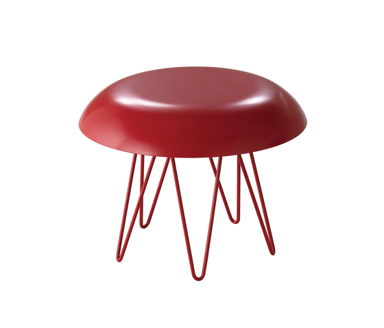Meduse Casamania
