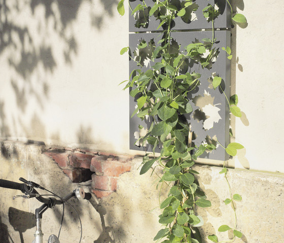 Grow FLORA