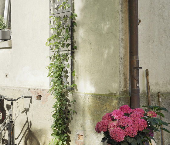 Grow FLORA