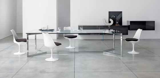 Carlo Magno Gallotti & Radice