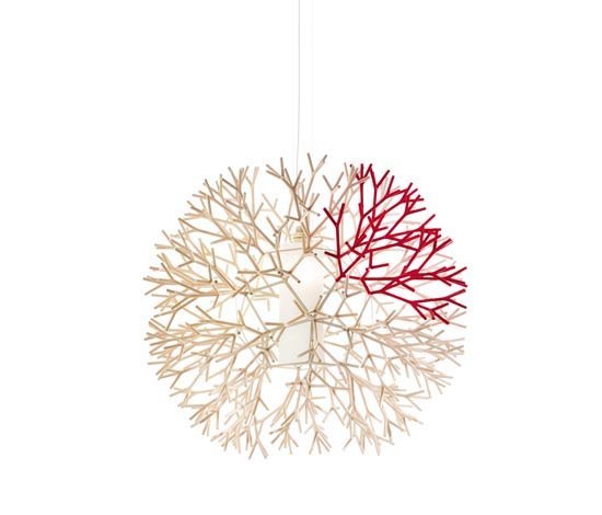 Coral Pallucco