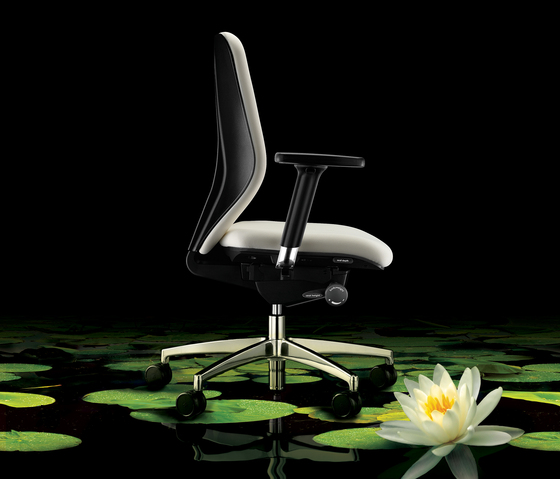 Lily Boss Design