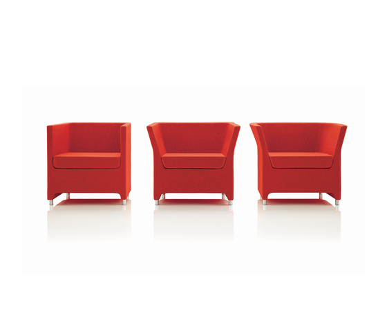 Tom, Dick & Harry Boss Design