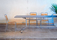 La chaise de jardin | Atelier Alinea